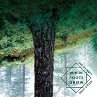 Uwe Steinmetz / Daniel Stickan - Where Roots Grow